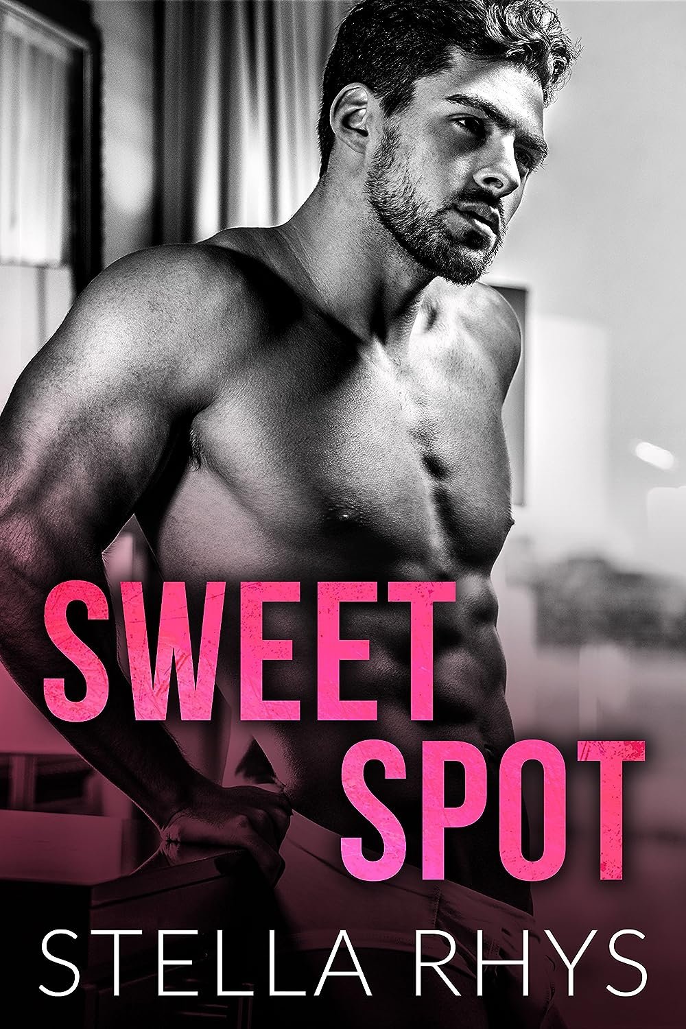 Cover for Sweet Spot (Irresistible Book 1)
