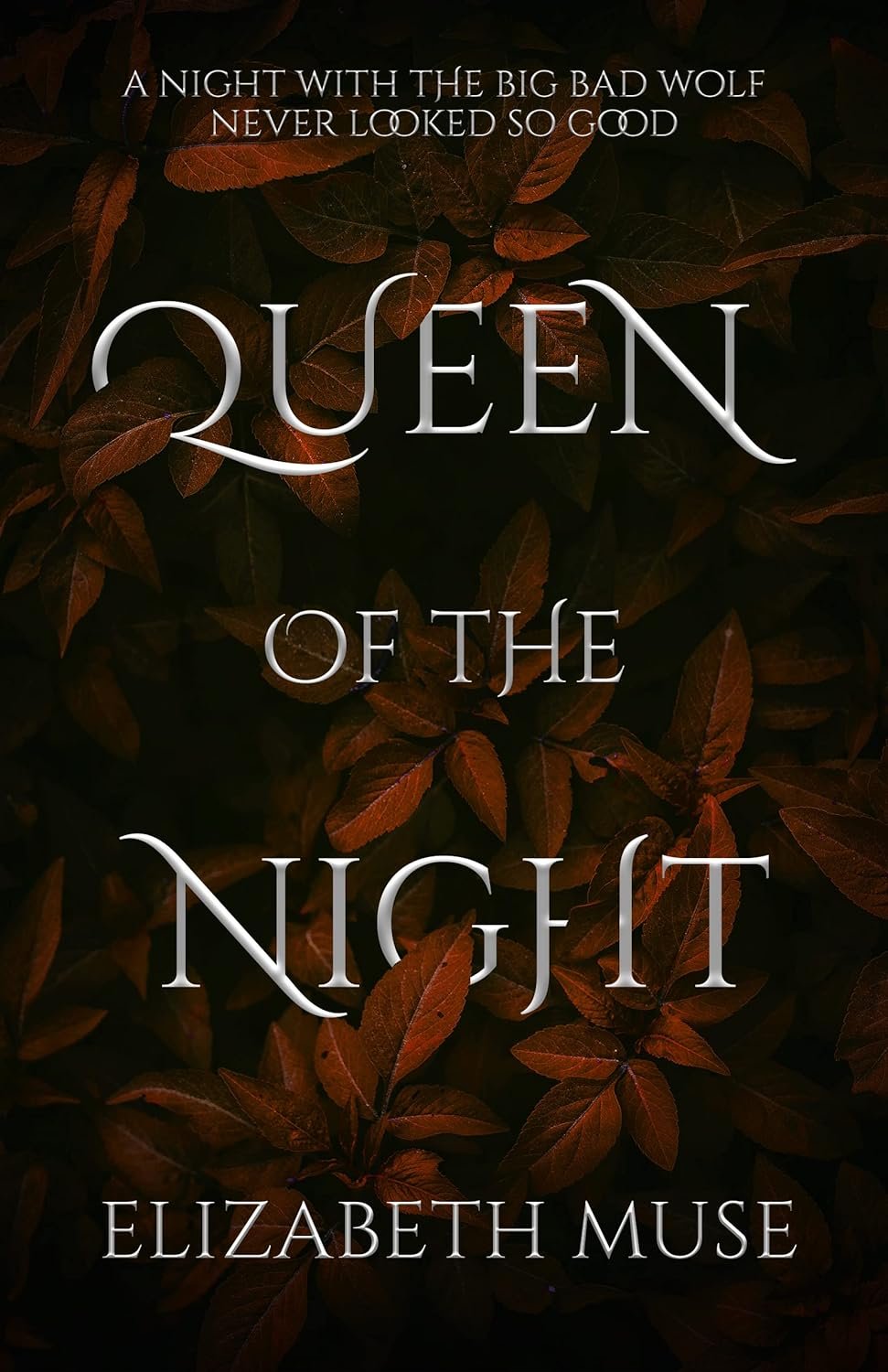 Cover for Queen of the Night
